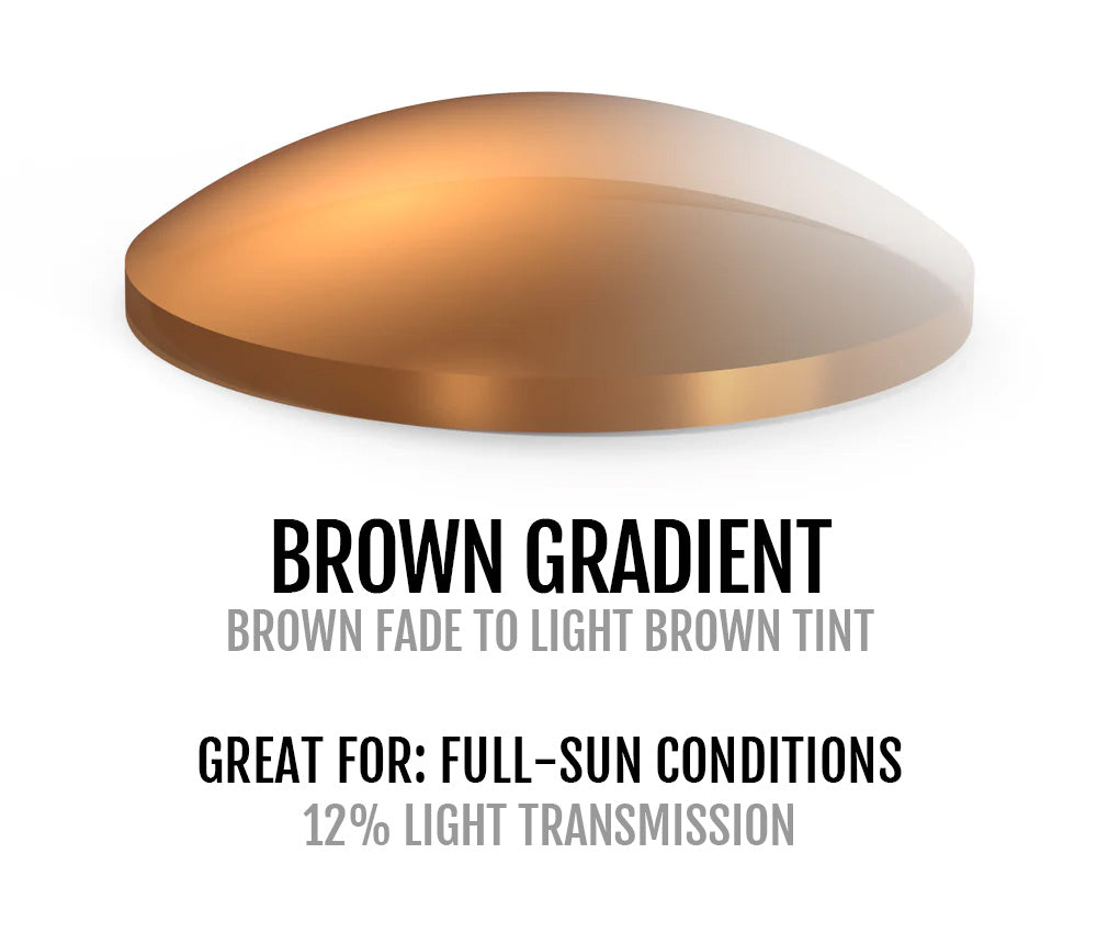 Brown Gradient Lens