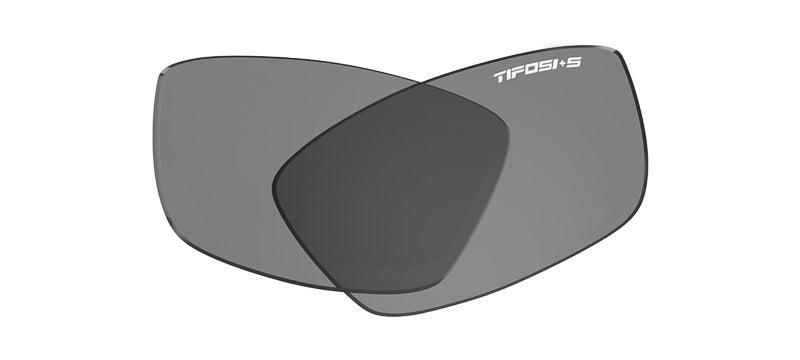 Dolomite 2.0 smoke tactical lenses