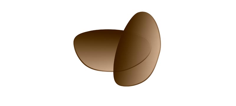 alpe brown gradient lenses DARK BROWN AT TOP OF LENS, FADES TO LIGHT BROWN