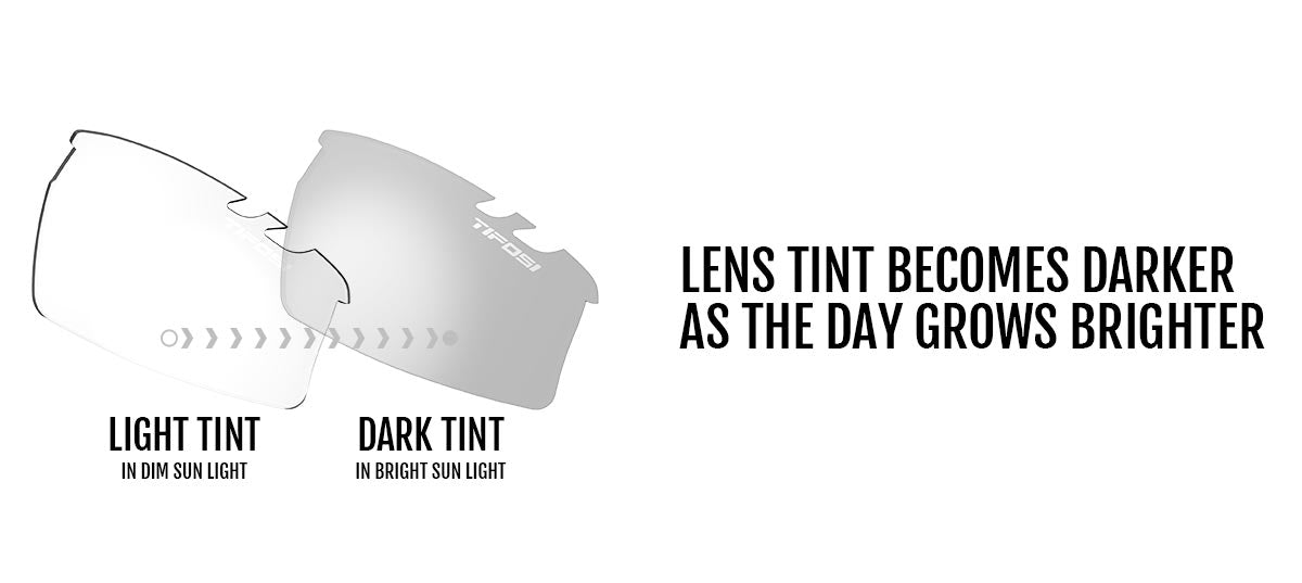 Crit Light Night Fototec Lens Example