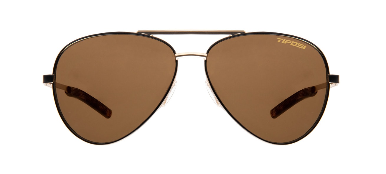 shwae midnight gold brown aviator sunglass front