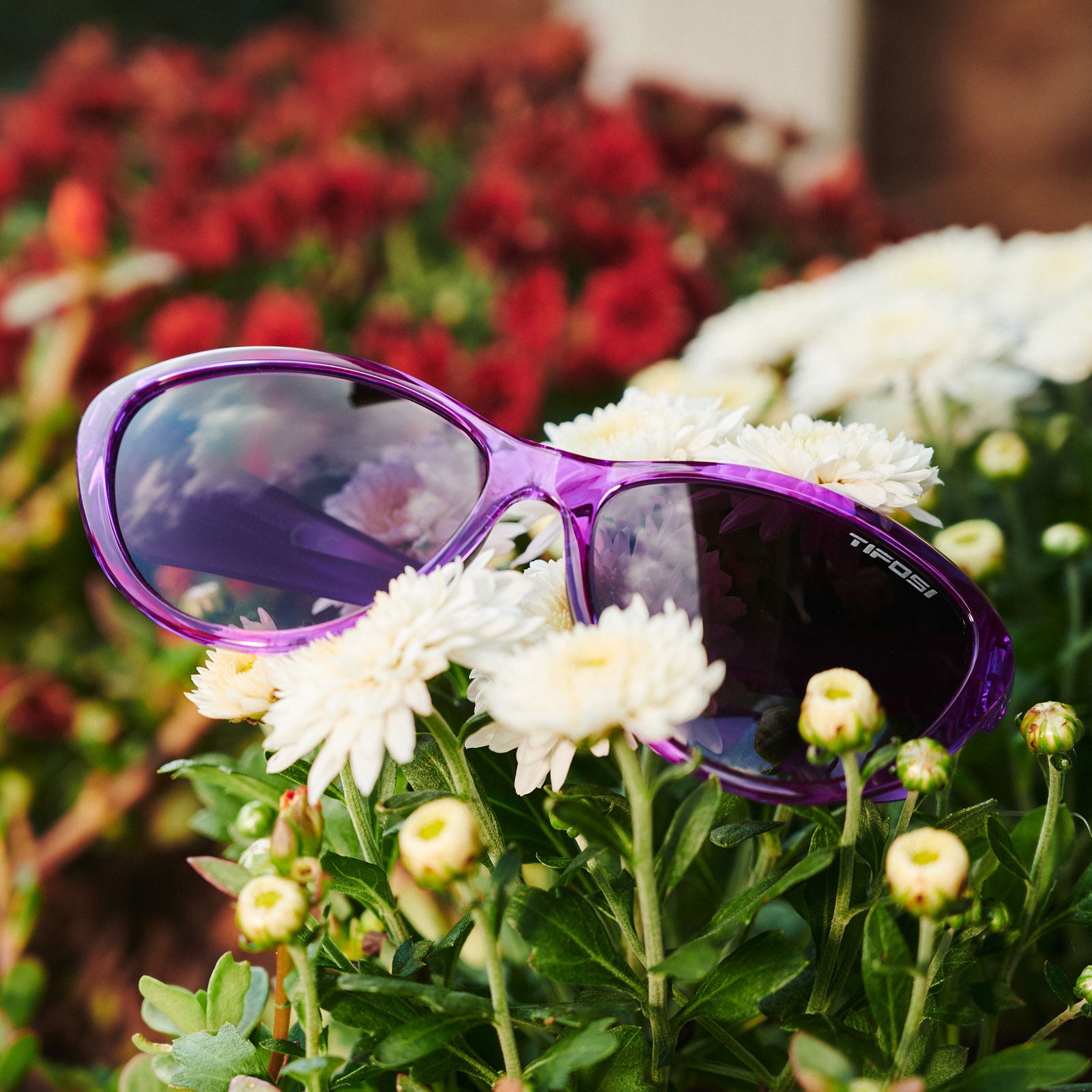 Shirley sport sunglasses in ultra violet