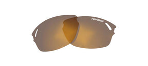 wasp brown polarized lenses
