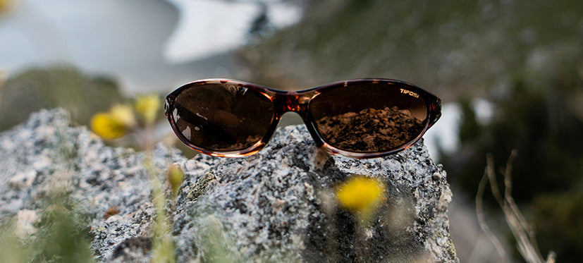 Alpe 2.0 Tortoise polarized eyewear