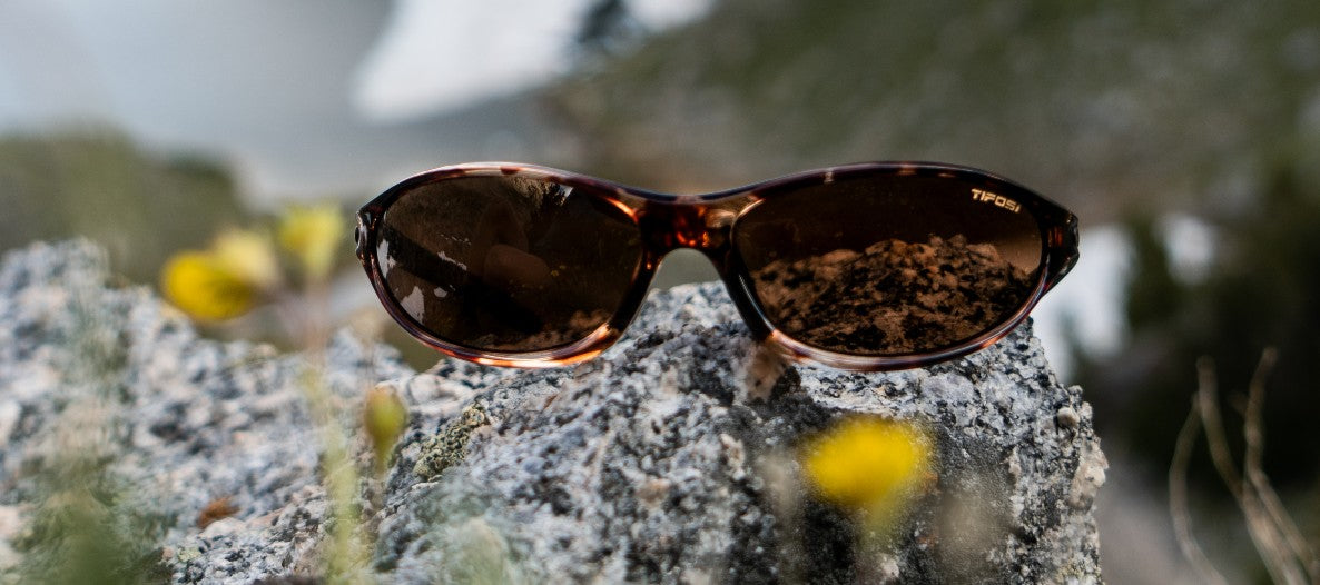 Alpe 2.0 Tortoise polarized eyewear