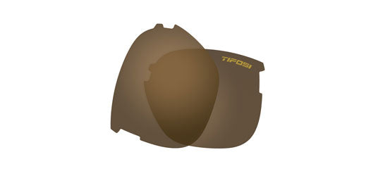 Salvo brown polarized replacement lenses