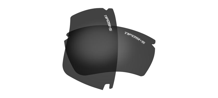 vero smoke polarized interchange lens